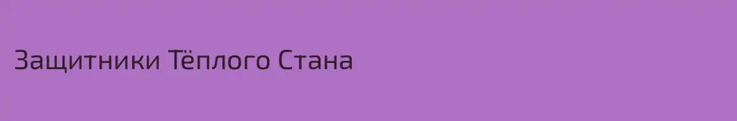 Защитники Тёплого Стана